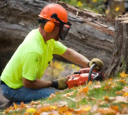 tree services Bishopville